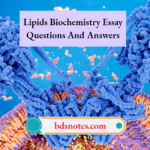Lipids Biochemistry