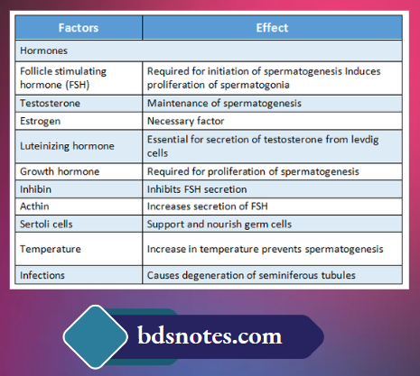 List Two Factors essential For Spermatogenesis.