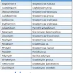 Microbiology Synopsis Antimicrobial agents