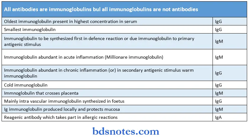 Microbiology Synopsis antibodies and immunoglobulins