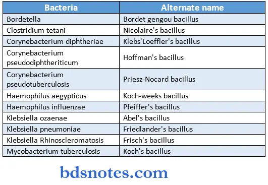 Microbiology Synopsis bacteria alternate name