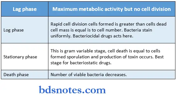 Microbiology Synopsis lag phase maximum metabolic activity but no cell division