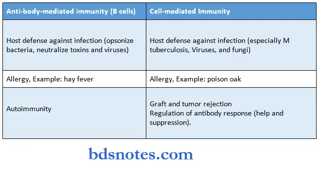 Microbiology Synopsis major functions of t cells and b cells