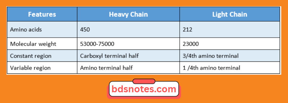 Molecular Weight Of Immunoglobulin Chains