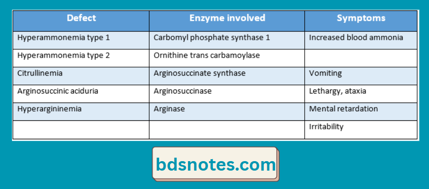Neonatal Hyperammonemia Causes
