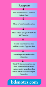 Classification Of Pain - BDS Notes