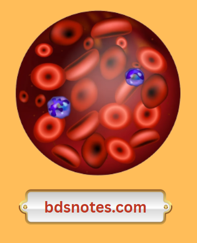 Neutrophil In Bloodstream