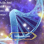 Nucleic Acids And Nucleotides