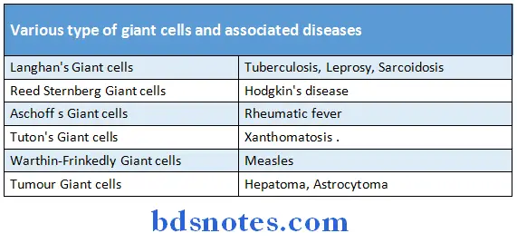 Oral Pathology Synopsis Various type of giant cells and associated diseases