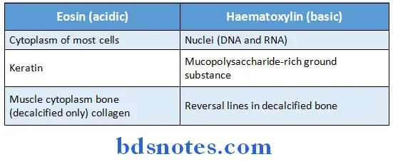 Oral Pathology Synopsis examples of haematoxylin and eosin staininf of various tissues
