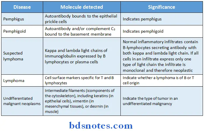 Oral Pathology Synopsis importany use of immunostaining tecniques