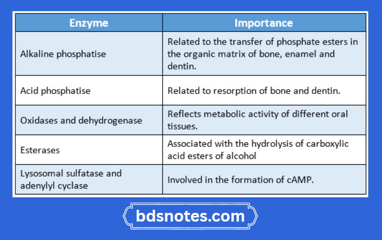 Oral Tissue Enzymes And Their Importance