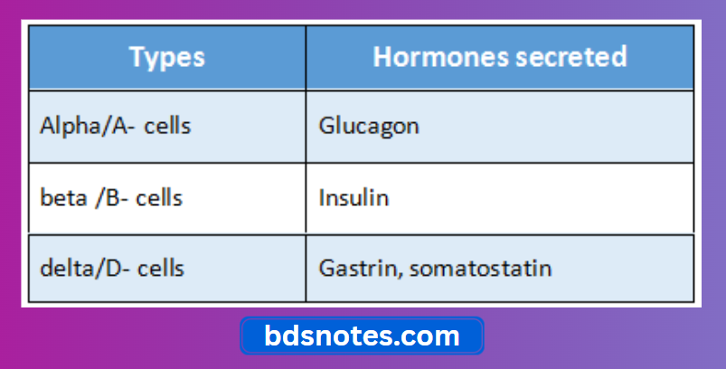 Pancreatic Islet Cells And Hormones
