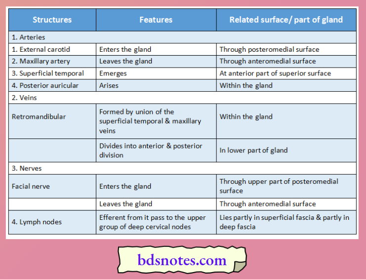 Parotid Region structures passing through parotid gland