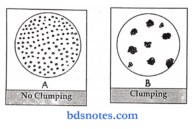 Pathology practical blood groups