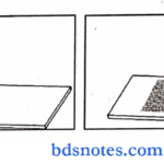 Pathology practical peripheral smear