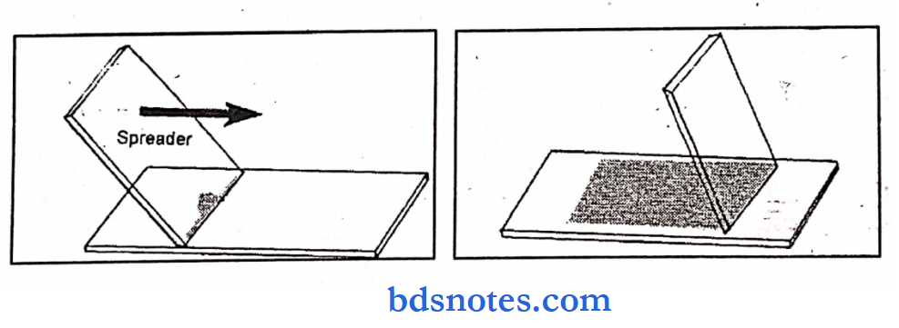 Pathology practical peripheral smear
