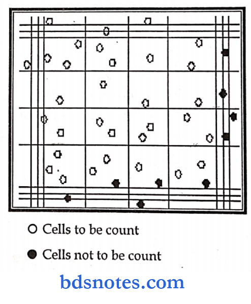 Pathology practical total wbc count