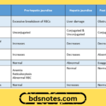 Prehepatic Hepatic Posthepatic Jaundice Features