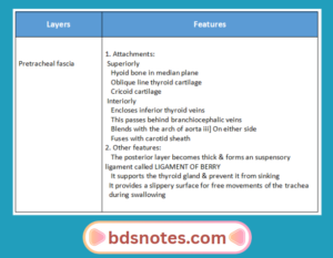 Deep Cervical Fascia And Surgical Anatomy Of The Neck - BDS Notes