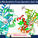 Proteins Biochemistry