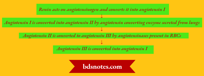 Renin In Regulation Of Blood Pressure