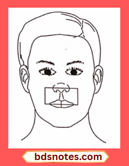 Risk Area For Facial Infections