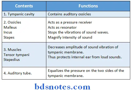 Special Senses contents and functions of middle ear