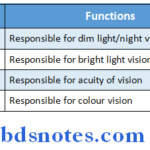 Special Senses visual receptors and their functions
