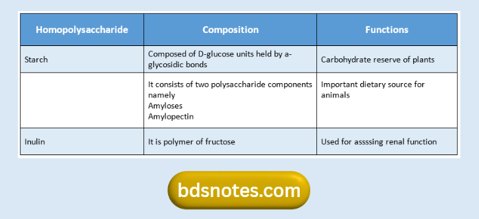 Starch Inulin Composition Roles