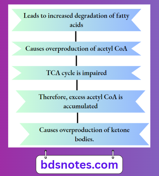 Starvation Metabolic Pathway