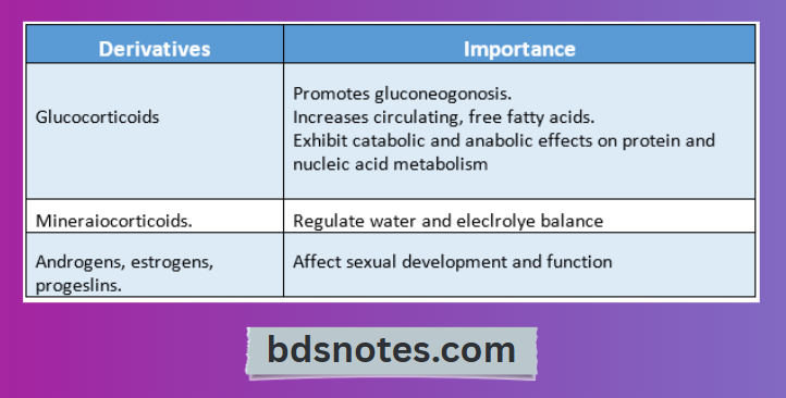 Steroid Hormones Functions