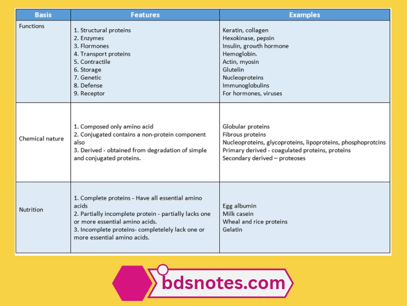 Structural Vs Enzymatic Proteins