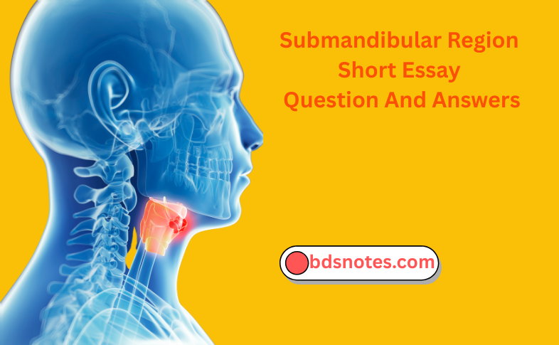 Submandibular Region Short Essay Question And Answers