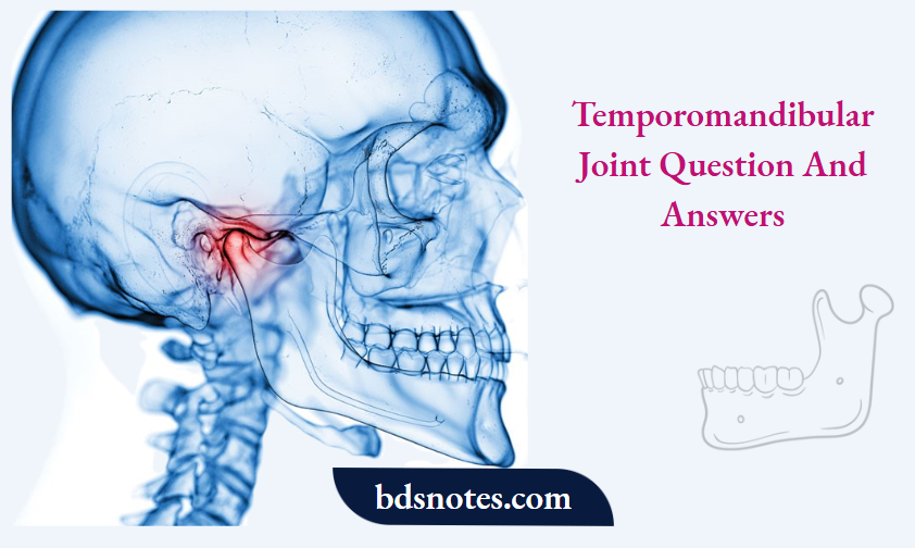 Temporomandibular Joint