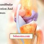 Temporomandibular Joints