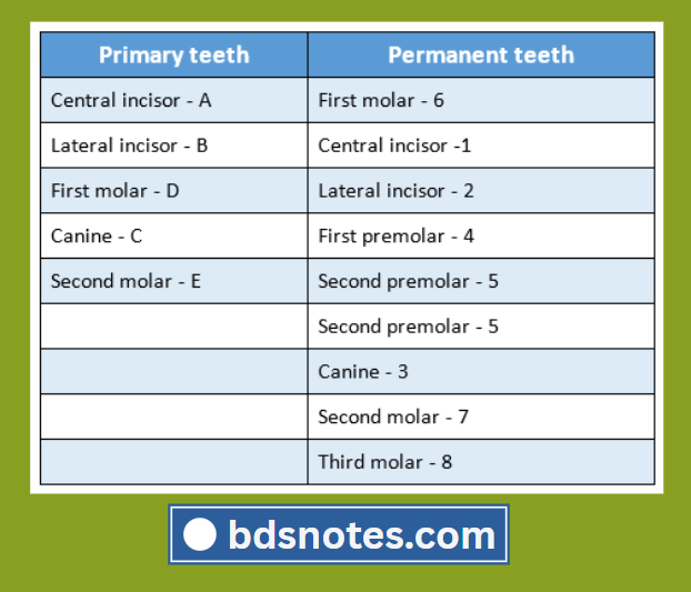 Tooth Numbering System Comparison