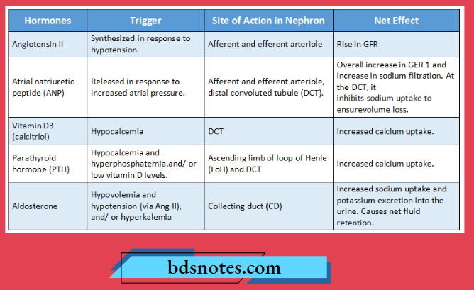 Two Hormones Acting On Real Tubules