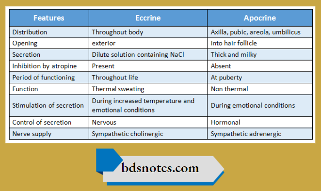Types Of Sweat Glands