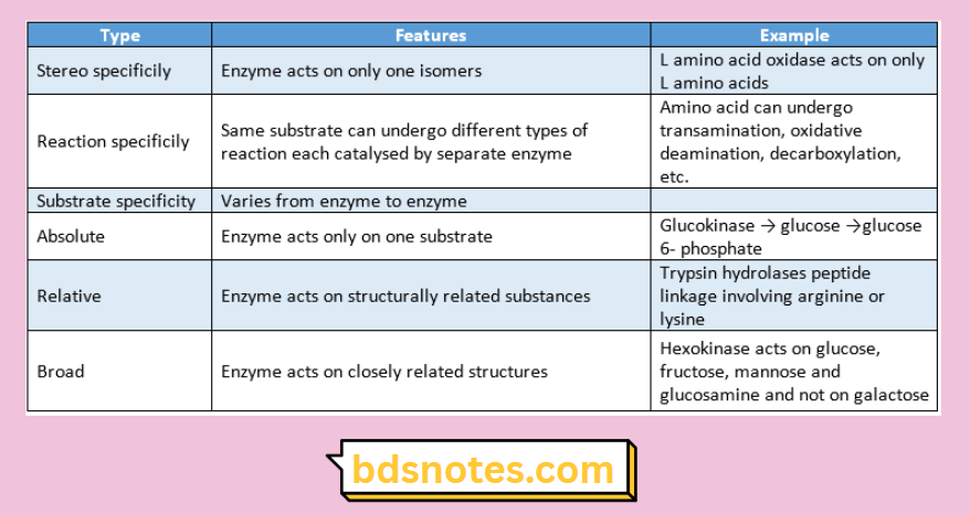 Types of Enzyme Specificity
