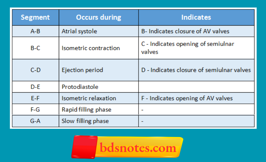 Ventricular Pressure Phases Diagram