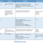 Vitamins And Their Coenzymes Functions And Deficiency Disorders Diagram