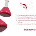 composition of blood