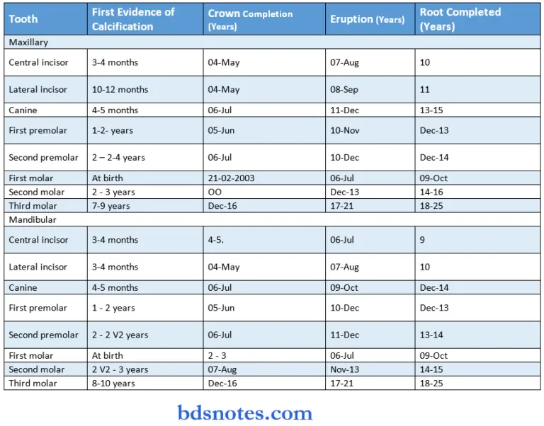 Development And Eruption Of Teeth Question And Answers - BDS Notes