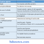 histo chemisrty of oral tissues fixative agents