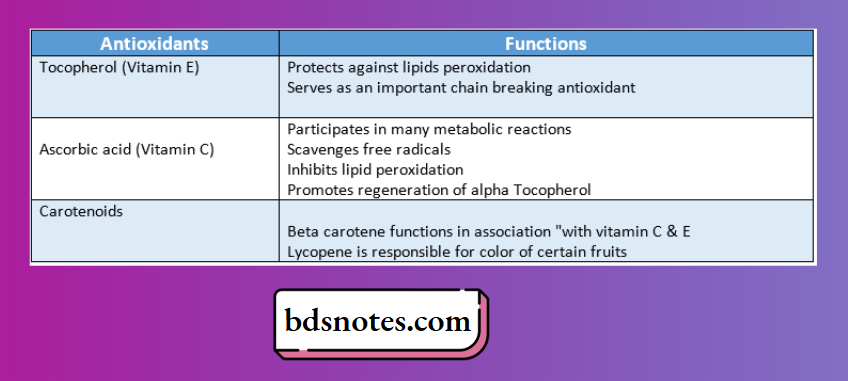 nucleic-acids-and-nucleotides-antioxidants