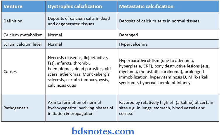 pathalogy synopsis calcification dystrophic and metastatic calcification