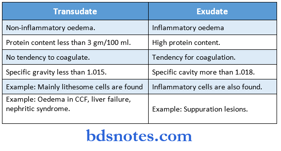pathalogy synopsis cellular stages of phagcytosis