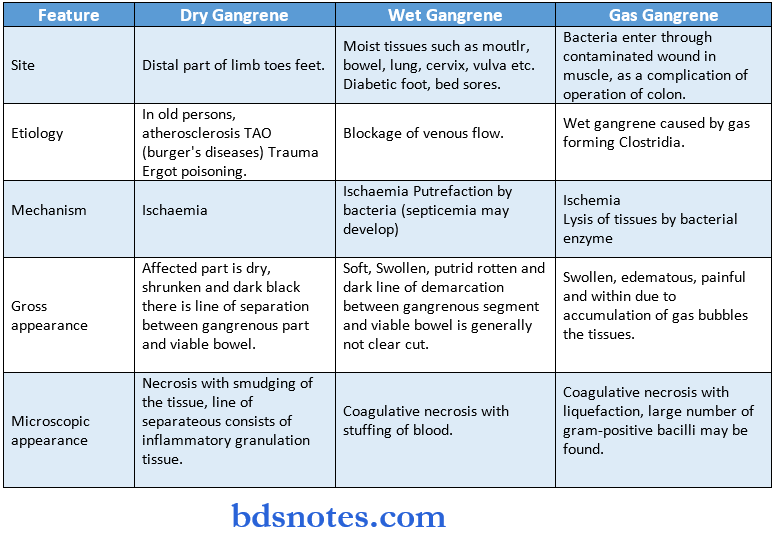 pathalogy synopsis gangrane