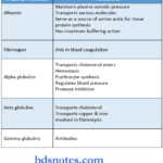 plasma proteins plasma proteins and functions